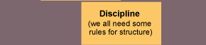 Discipline